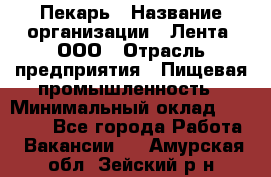 Пекарь › Название организации ­ Лента, ООО › Отрасль предприятия ­ Пищевая промышленность › Минимальный оклад ­ 27 889 - Все города Работа » Вакансии   . Амурская обл.,Зейский р-н